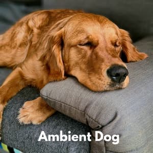 Ambient Dog - Dog Total Relax