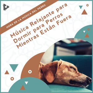 Música Relajante para Dormir para Perros Mientras Están Fuera - Hora de la Música del Perro
