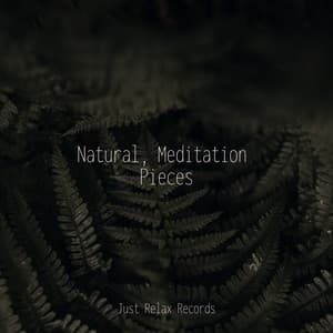 Natural, Meditation Pieces - Meditación