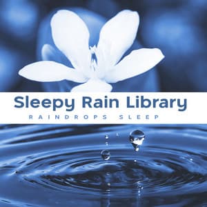Sleepy Rain Library - Raindrops Sleep