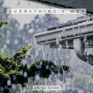 Everything's Wet - Oh so Tired
