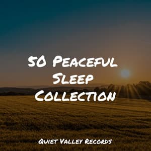 50 Peaceful Sleep Collection - Relaxing Music