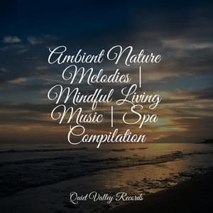 Ambient Nature Melodies | Mindful Living Music | Spa Compilation - Echoes Of Nature