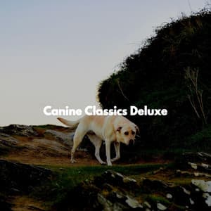 Canine Classics Deluxe - Coffee Shop Jazz