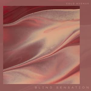Blind Sensation - Cold Avenue