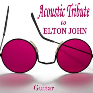 Acoustic Tribute to Elton John: Guitar - Steve Petrunak