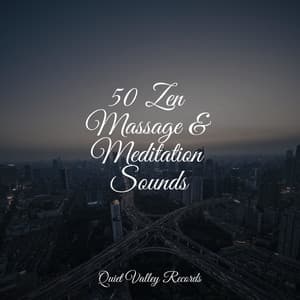 50 Zen Massage & Meditation Sounds - Sample Rain Library