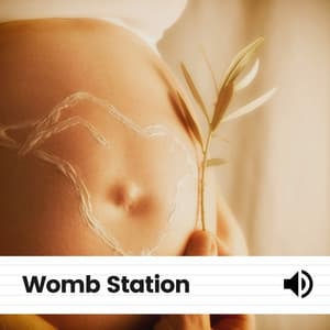Womb Station - Womb Sound