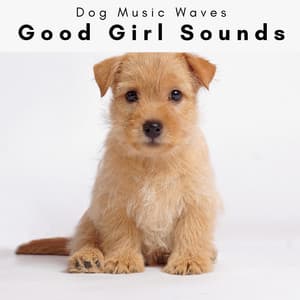 4 Dogs Good Girl Sounds - Dog Music Waves