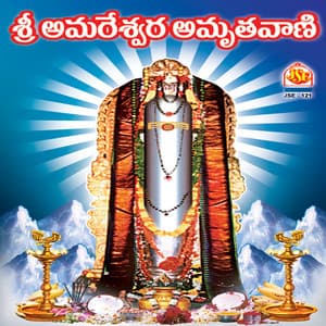 Sri Amareswara Amruthavani - Muralidhar