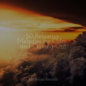 50 Relaxing Melodies for Calm and Chilling Out - Natural Sounds