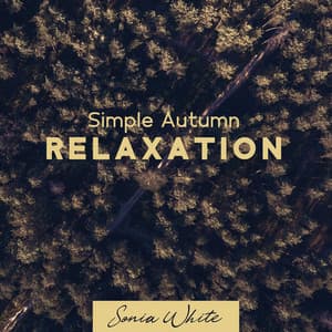 Simple Autumn Relaxation - Sonia White