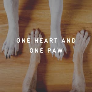 One Heart and One Paw - Official Pet Care Collection