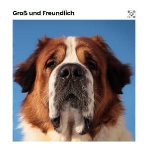 Groß und Freundlich - Hundemusik