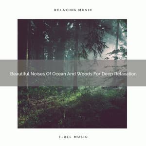 Beautiful Noises Of Ocean And Woods For Deep Relaxation - Sleep Dimension