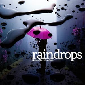 Raindrops - Nature Sounds Artists