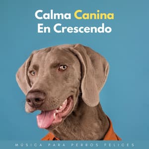 Calma Canina En Crescendo: Música Para Perros Felices - Delmar Herrero