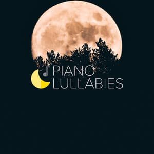 The Forest - Piano Lullabies