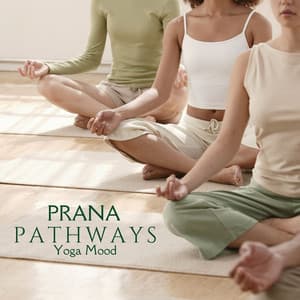 Prana Pathways: Yoga Background Music - Yoga mood