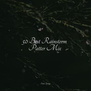 50 Best Rainstorm Patter Mix - Nature's Symphony