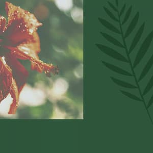 Backdrop for Recharging Moods - Trumpet and Alto Sax - Indie Coffeehouse Music Lounge