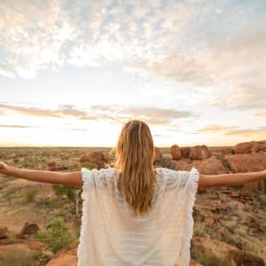 Serenity's Song: Nature's Wildscape Echoes - Wildlife Sound Recordings