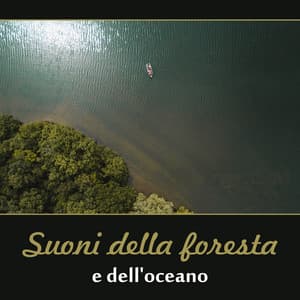 Suoni della foresta e dell'oceano - Musica rilassante per lo yoga, la meditazione, la spa, il sonno profondo e lo studio - Santuario dei suoni della natura
