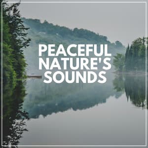 Peaceful Nature's Sounds - Cricket Sounds