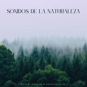 Sonidos De La Naturaleza: Sonidos De Lluvia En Un Bosque Verde Vol.2 - La Fábrica de Lluvia