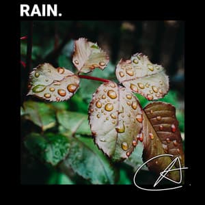 Rain Drops - Rain Sounds Factory STHLM