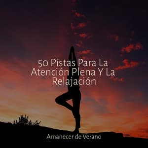 50 Pistas Para La Atención Plena Y La Relajación - Dulces Sueños