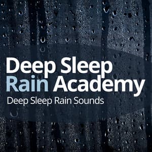 Deep Sleep Rain Academy - Deep Sleep Rain Sounds
