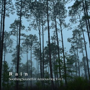 Rain: Soothing Sound for Anxious Dog Vol. 1 - Doggy Music