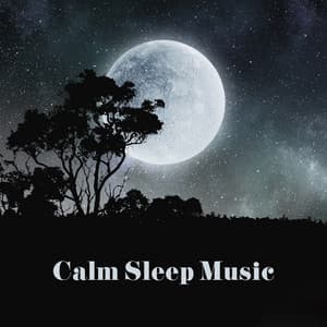 Calm Sleep Music - Serenity Music Zone