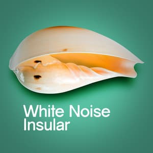 White Noise: Insular - Nature White Noise for Relaxation and Meditation