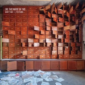 Like This Maybe Or This - Geins't Naït & L. Petitgand