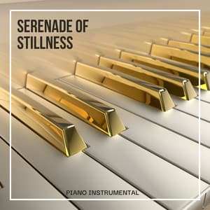 Serenade of Stillness: Piano and Nature Sounds - Piano Instrumental