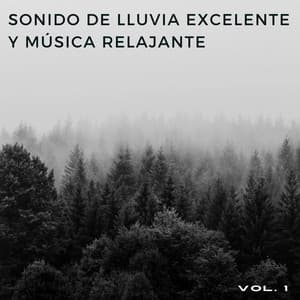 Sonido De Lluvia Excelente Y Música Relajante Vol. 1 - Lluvia Soundzzz Club