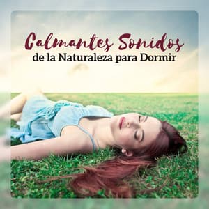 Calmantes Sonidos de la Naturaleza para Dormir - Flauta Oriental, Música Asiática, Relajación, Zen Yoga, Spa, Alivio del Estrés - Academia de Música de Piano para Dormir