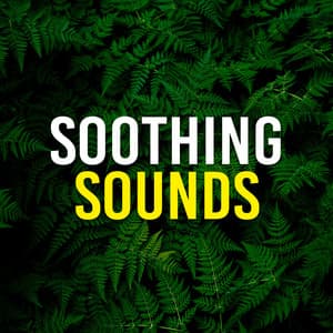Soothing Sounds - Hypnosis Therapy