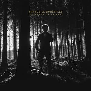La Faveur de la Nuit - Arnaud Le Gouëfflec