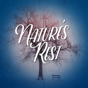 Nature's Rest - Ambient Nature Sounds