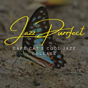 Jazz Purrfect Moments: Coffee Lounge Serenades for Pets - Coffee Machine
