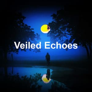 Veiled Echoes - Spa Chillout Music Collection
