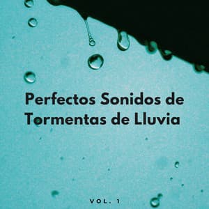Perfectos Sonidos De Tormentas De Lluvia Vol. 2 - Tormentas Naturales