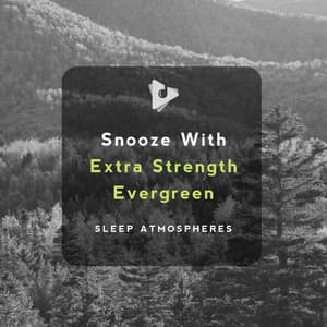 Snooze With Extra Strength Evergreen - Deep Sleep ASMR