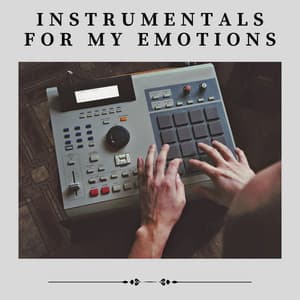 Instrumentals for My Emotions - Lofi-Hip-Hop-Humanoid
