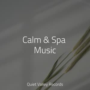 Calm & Spa Music - Gentle Rain Makers