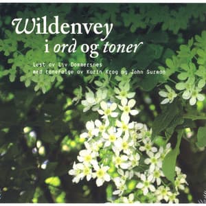 Wildenvey I Ord Og Toner - Liv Dommersnes