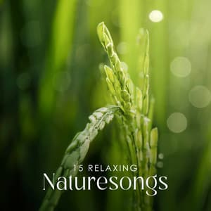 15 Relaxing Naturesongs - Nature Sounds Paradise